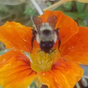 Meet your Posher, Margot